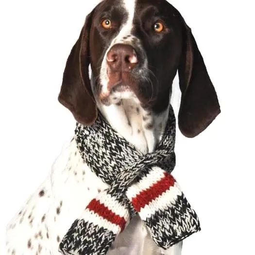 Boyfriend Dog Scarf