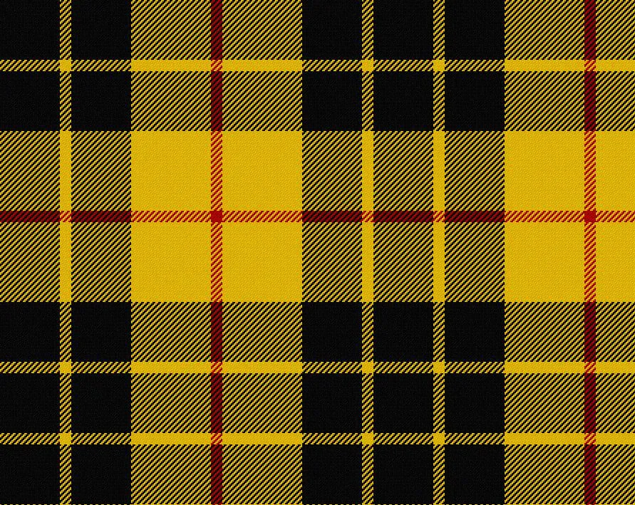 MacLeod of Lewis Modern Tartan Scarf