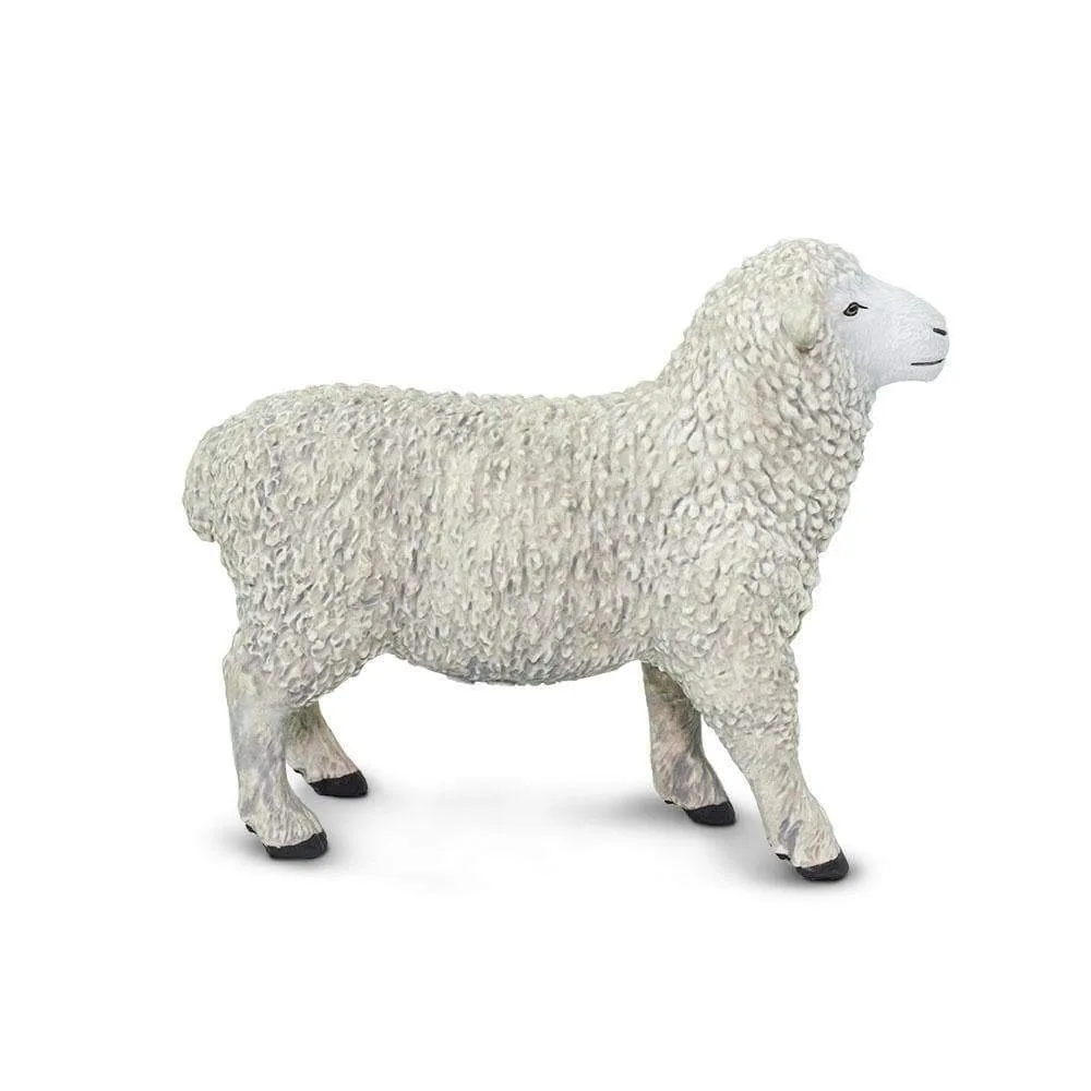 Safari Ltd. Sheep