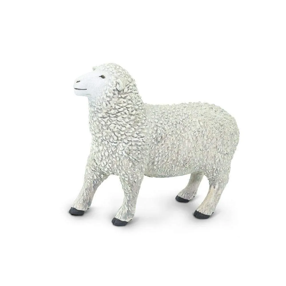 Safari Ltd. Sheep