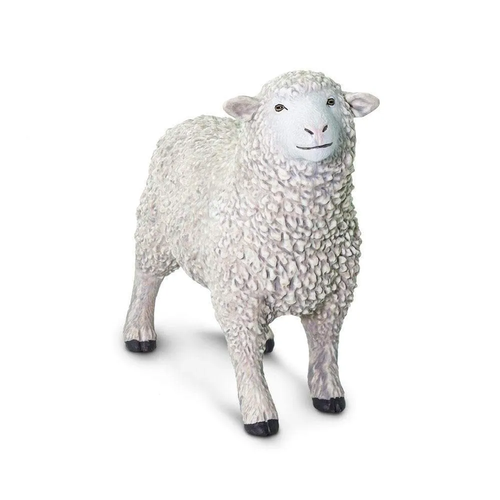 Safari Ltd. Sheep