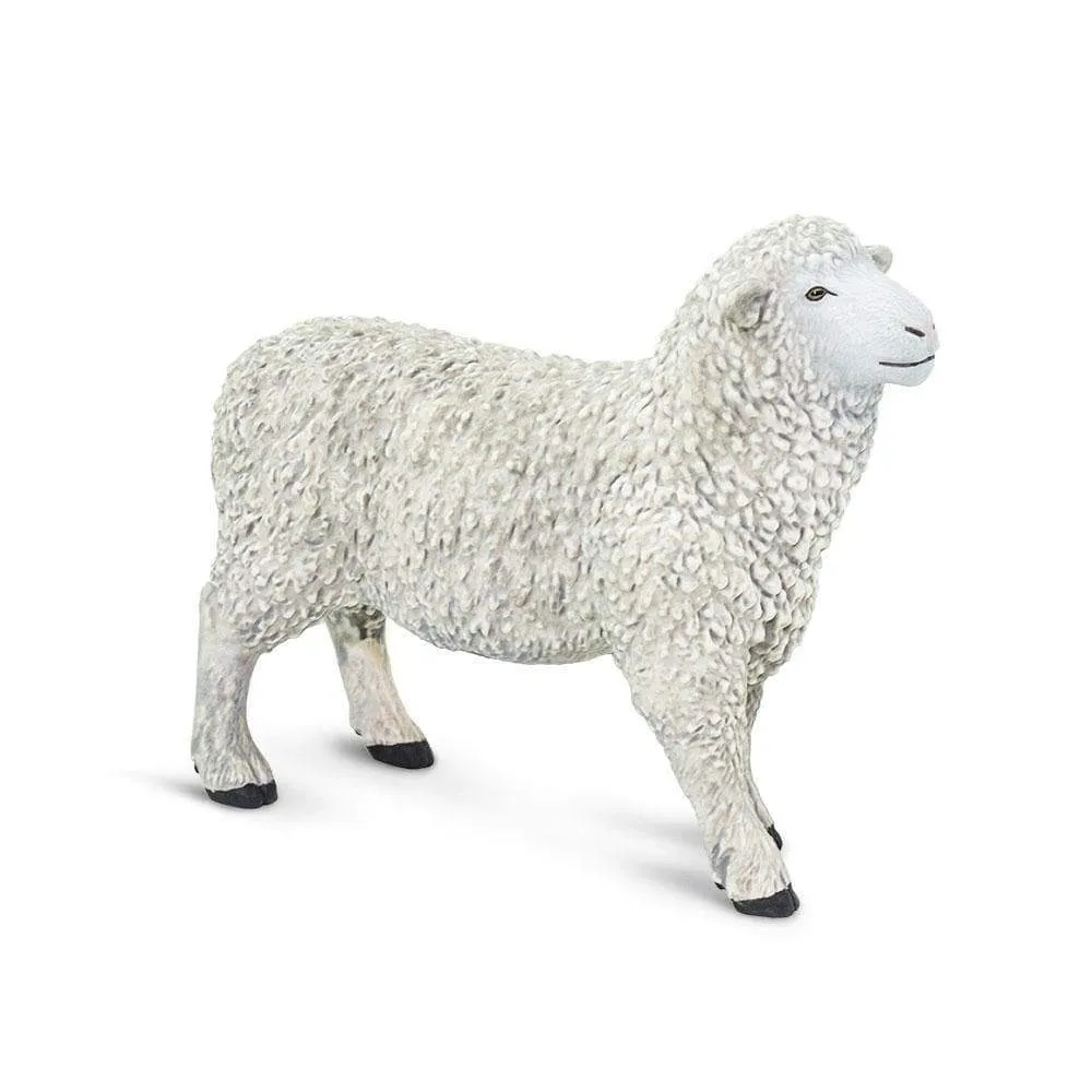 Safari Ltd. Sheep